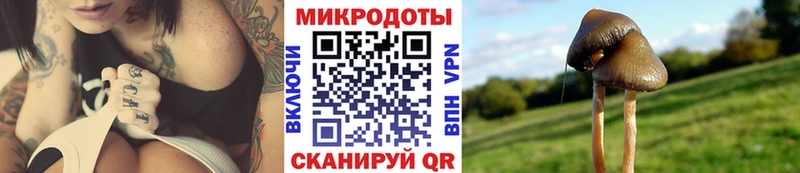 Купить  Юрьевец  Псилоцибиновые грибы мухоморы